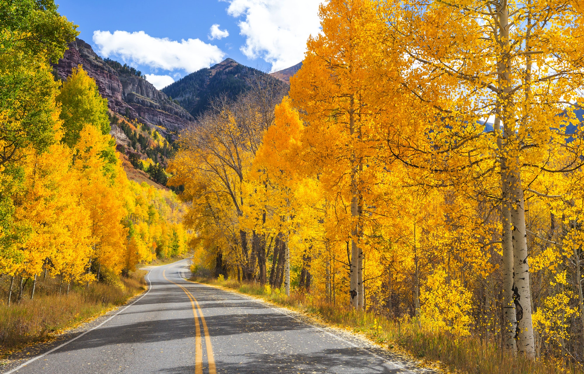 5 Ways for You To Get Out And Enjoy The Fall Season - Fifty, Fab, And ...